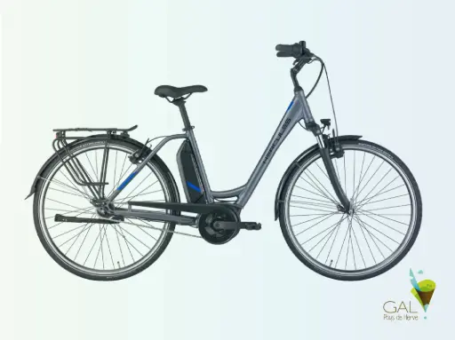 Vélo à assistance électrique – Modèle adulte 